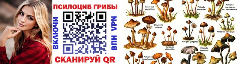 Галлюциногенные грибы Psilocybine cubensis  закладка  Канск 