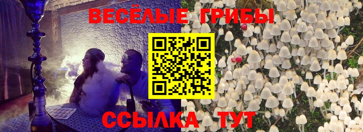 Галлюциногенные грибы прущие грибы Канск