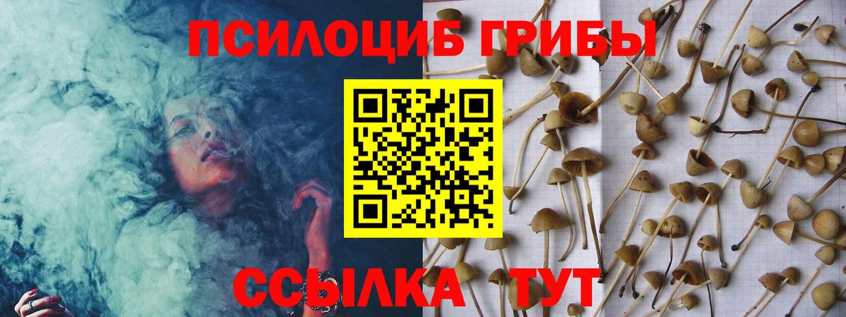 Галлюциногенные грибы GOLDEN TEACHER Канск