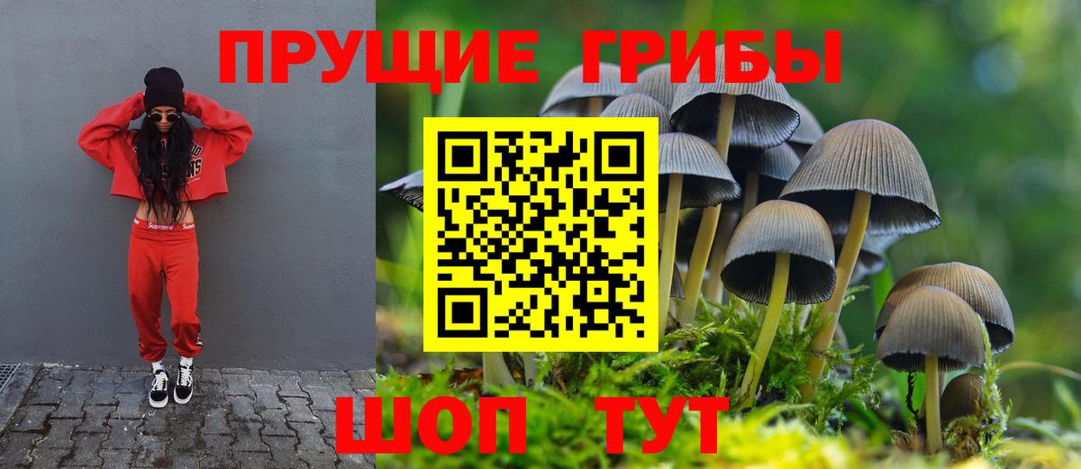 Псилоцибиновые грибы прущие грибы  Псилоцибиновые грибы GOLDEN TEACHER  Вход с VPN  Канск 