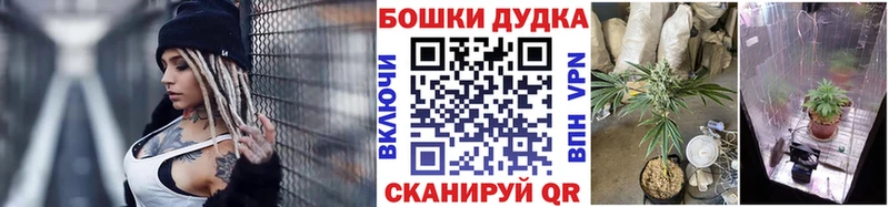 купить  сайты  Канск  Конопля тримм 