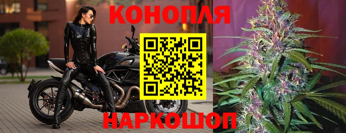 Каннабис индика  Канск  Марихуана сатива  Бошки марихуана семена  Бошки Шишки White Widow 